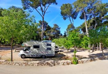 EARLY BOOKING RATE KAMPING PARCELE